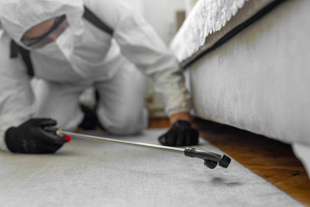 Professional Bed Bug Control technician working in Leland, NC