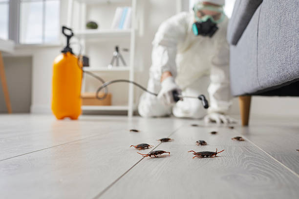 Trusted Cockroach Control service in Leland, NC - Nex Pest Control